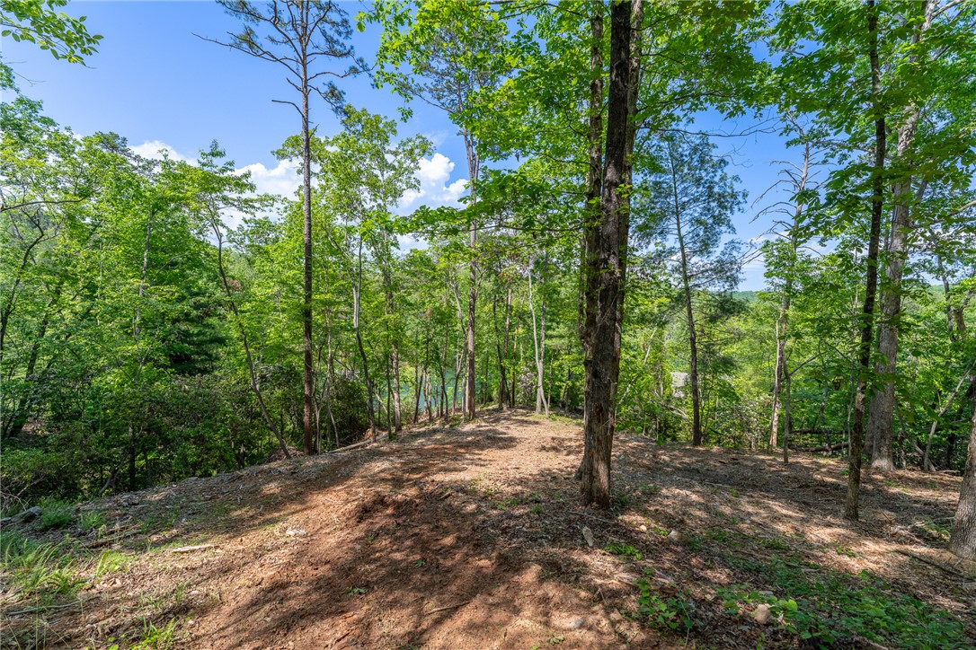 116 Stillwater Court Sunset, SC 29685 - Photo 7 of 21