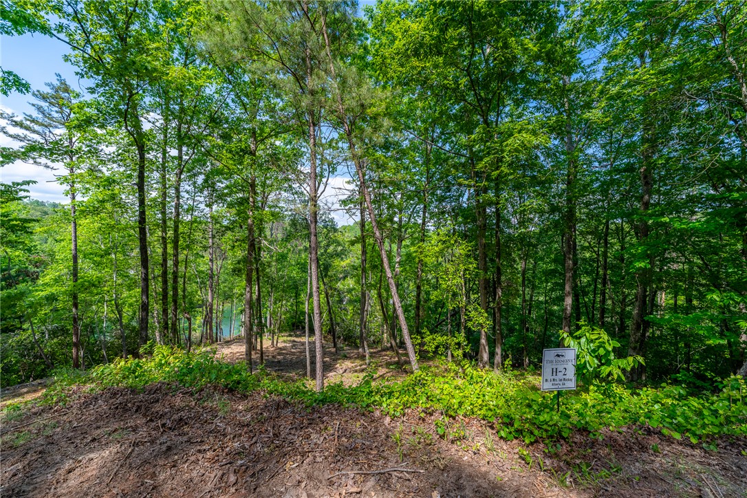 116 Stillwater Court Sunset, SC 29685 - Photo 8 of 21