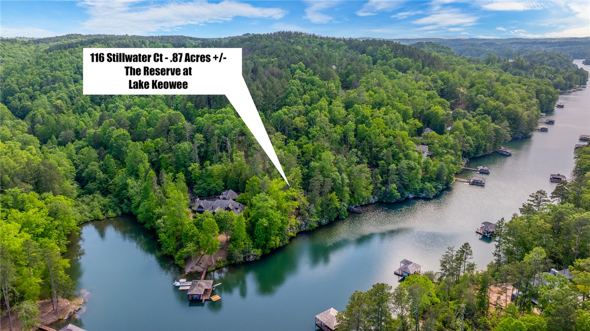 116 Stillwater Court Sunset, SC 29685 - Photo 9 of 21