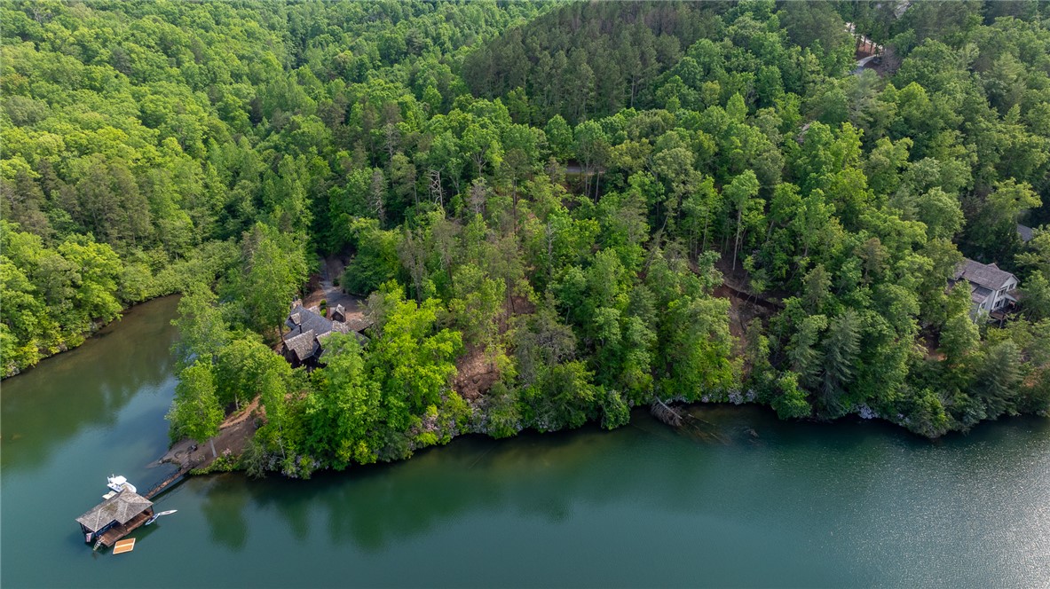 116 Stillwater Court Sunset, SC 29685 - Photo 10 of 21