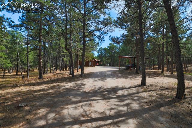 13805 Rankin Road Elbert, CO 80106 - Photo 6 of 14
