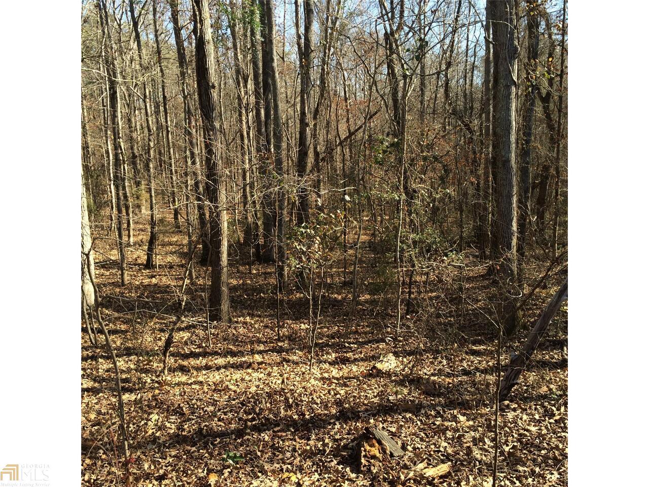 409 Martin Dairy Road, Unit 17 Milner, GA 30257 - Photo 1 of 1