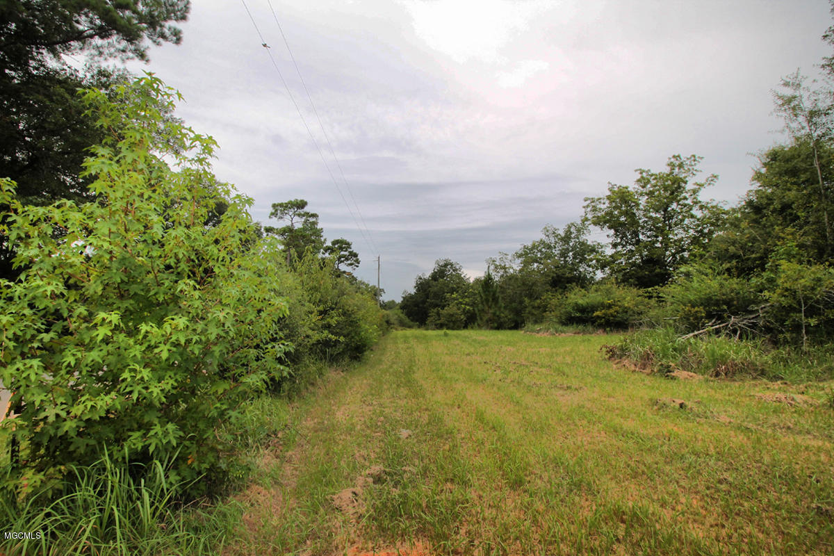 3-acres Easley Road Lucedale, MS 39452 - Photo 1 of 28 IMG_9908