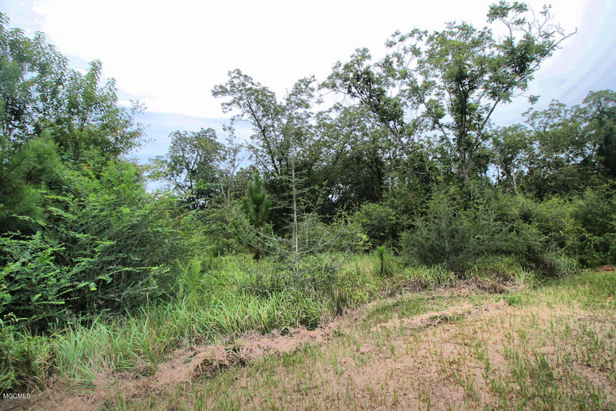 3-acres Easley Road Lucedale, MS 39452 - Photo 11 of 28 IMG_9919