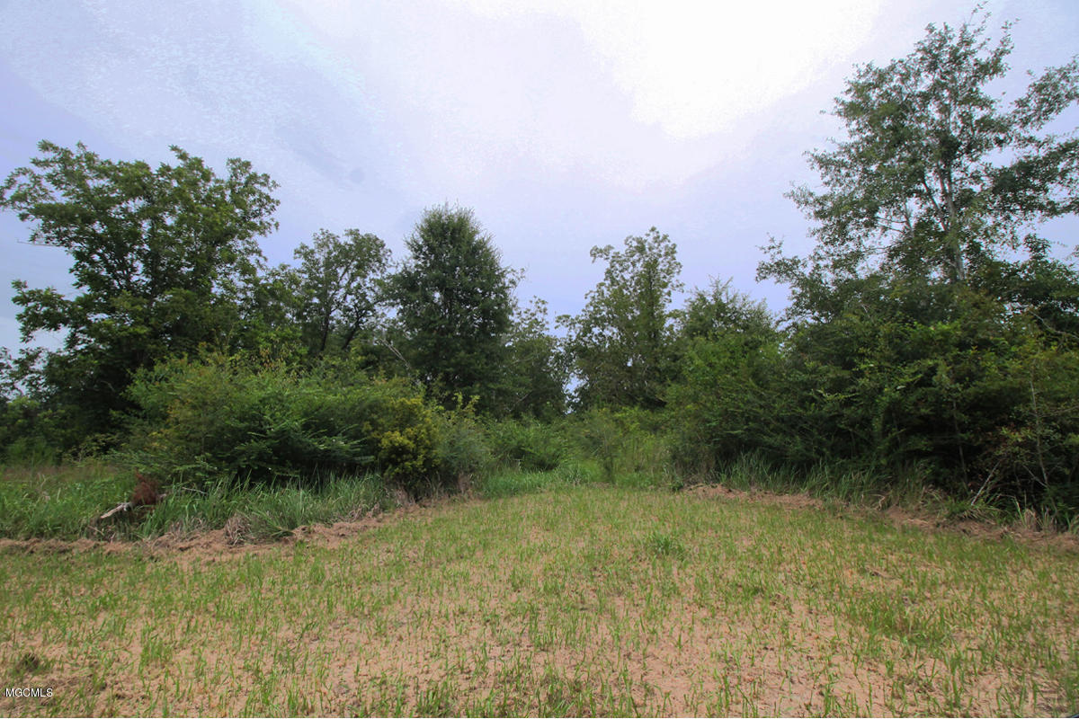 3-acres Easley Road Lucedale, MS 39452 - Photo 13 of 28 IMG_9922