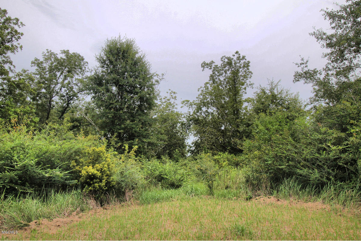 3-acres Easley Road Lucedale, MS 39452 - Photo 14 of 28 IMG_9923