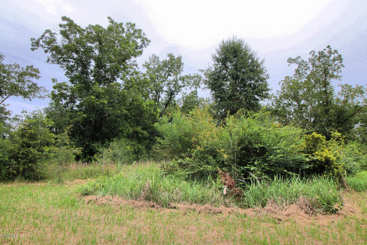 3-acres Easley Road Lucedale, MS 39452 - Photo 15 of 28 IMG_9924