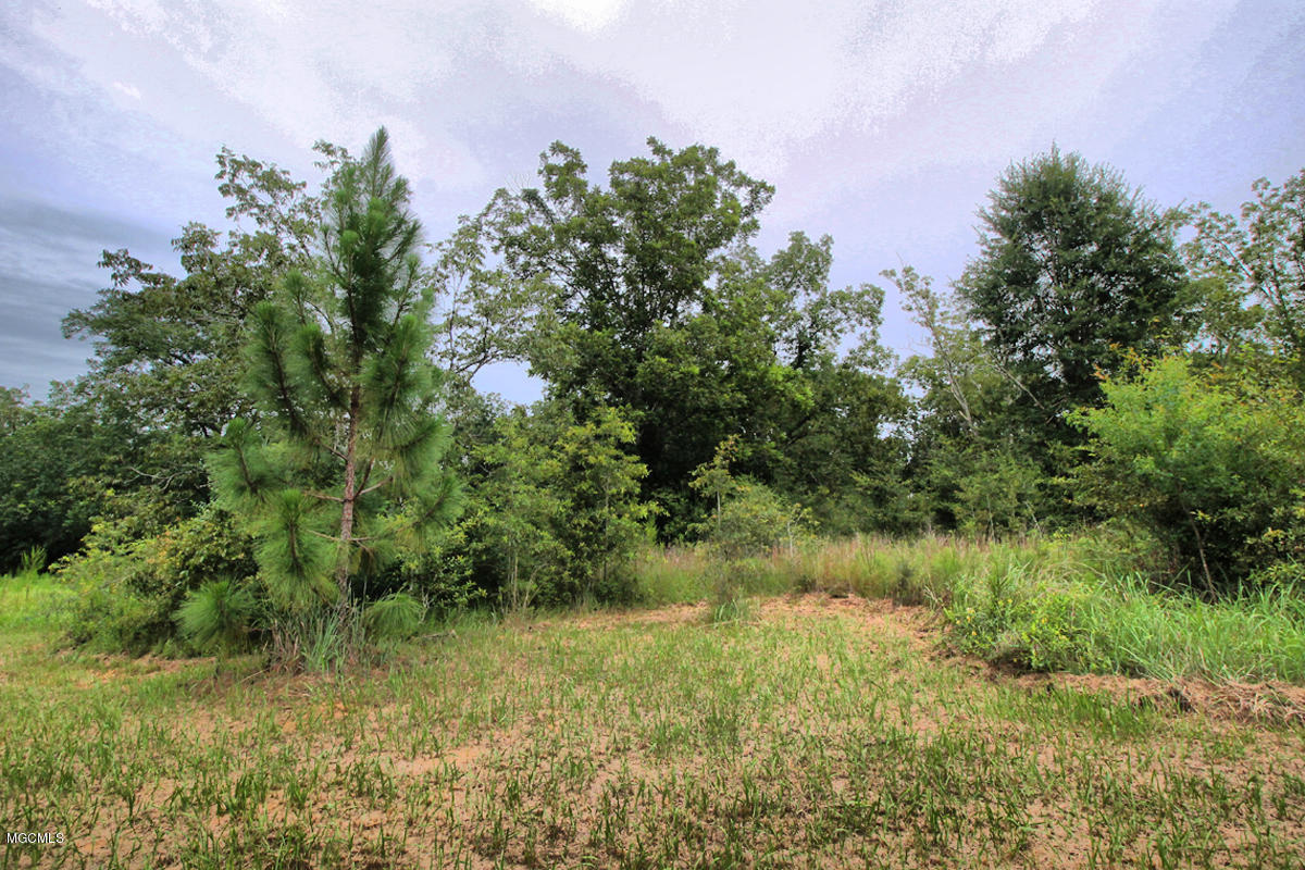 3-acres Easley Road Lucedale, MS 39452 - Photo 16 of 28 IMG_9925