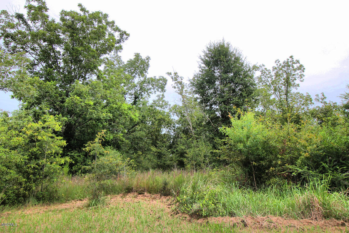 3-acres Easley Road Lucedale, MS 39452 - Photo 17 of 28 IMG_9926