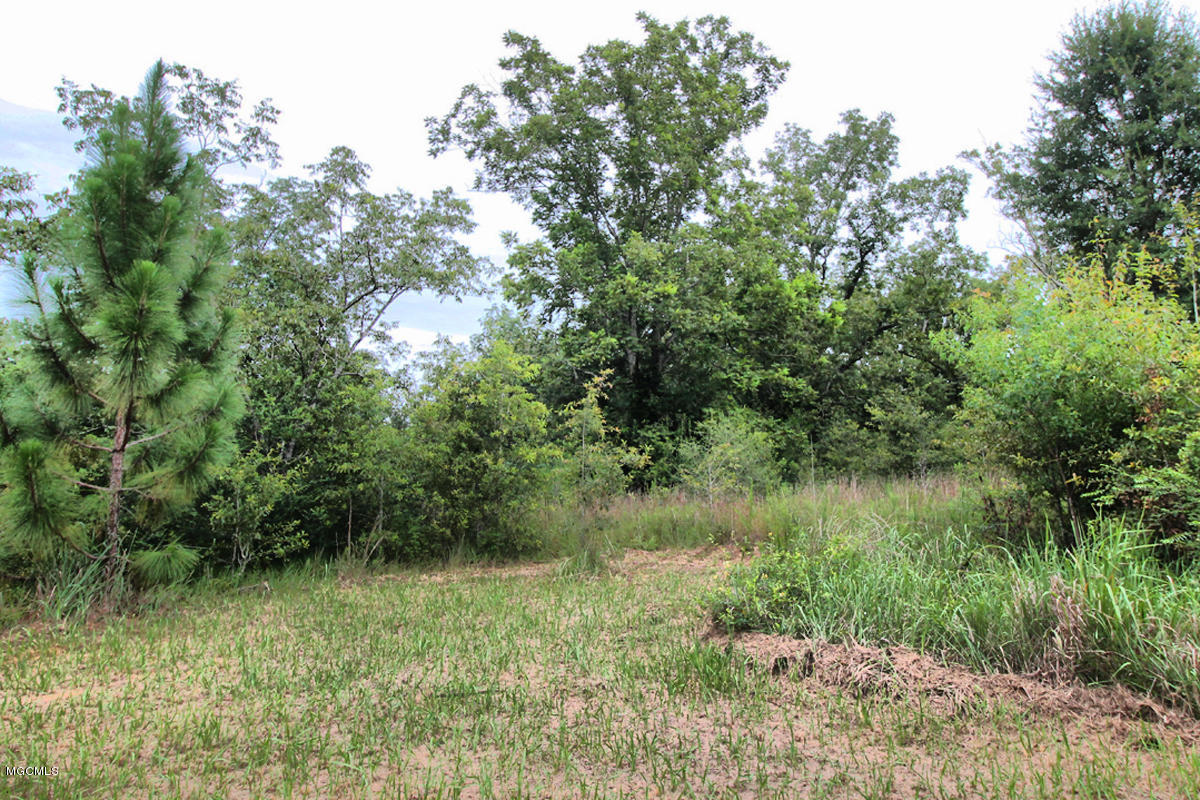 3-acres Easley Road Lucedale, MS 39452 - Photo 18 of 28 IMG_9927
