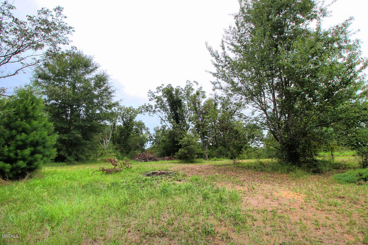 3-acres Easley Road Lucedale, MS 39452 - Photo 19 of 28 IMG_9928