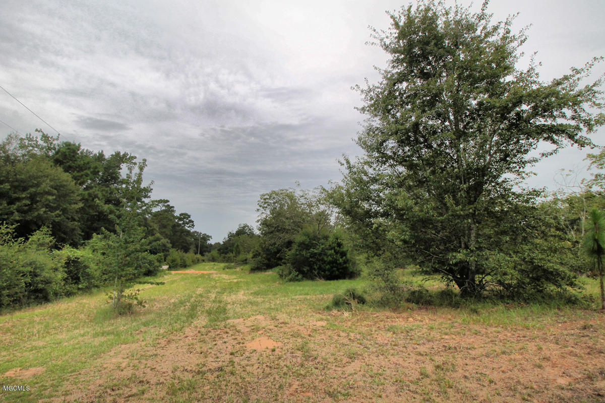 3-acres Easley Road Lucedale, MS 39452 - Photo 20 of 28 IMG_9929