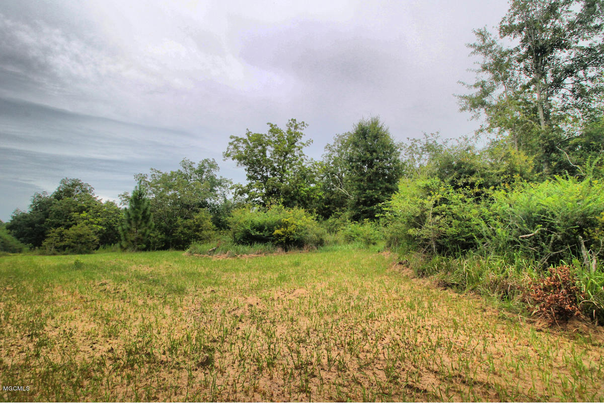 3-acres Easley Road Lucedale, MS 39452 - Photo 2 of 28 IMG_9909