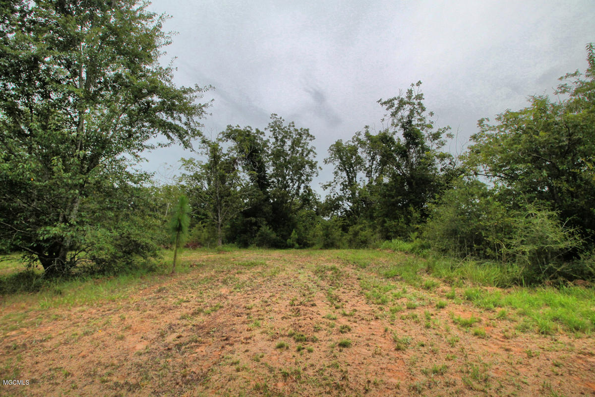 3-acres Easley Road Lucedale, MS 39452 - Photo 21 of 28 IMG_9930