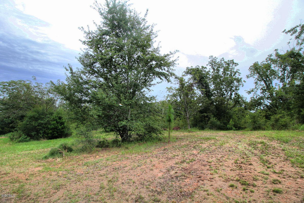 3-acres Easley Road Lucedale, MS 39452 - Photo 22 of 28 IMG_9931