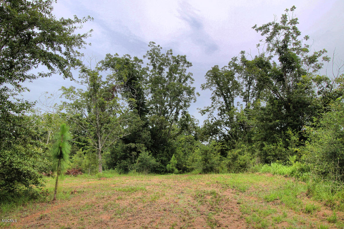 3-acres Easley Road Lucedale, MS 39452 - Photo 23 of 28 IMG_9932