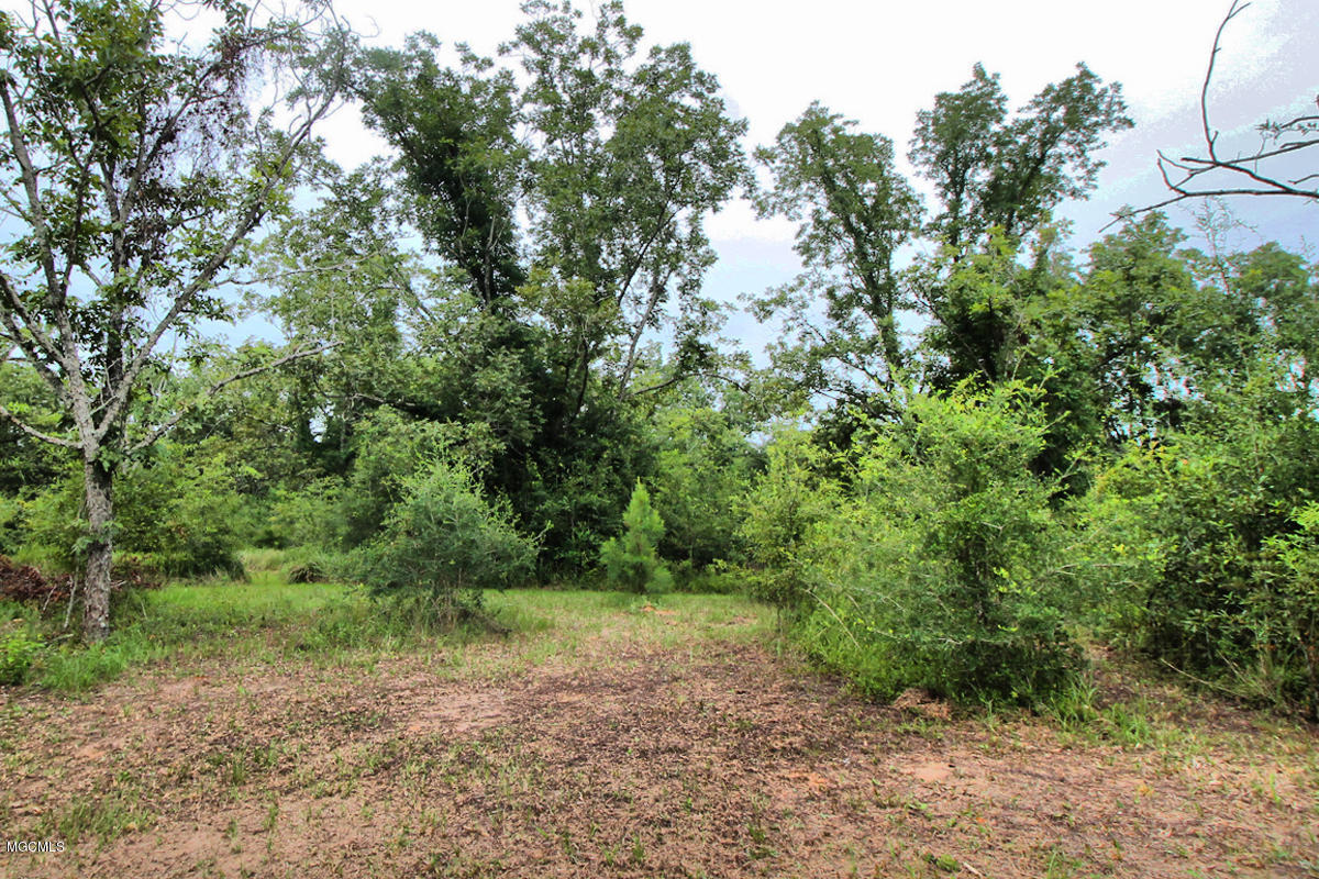 3-acres Easley Road Lucedale, MS 39452 - Photo 24 of 28 IMG_9933