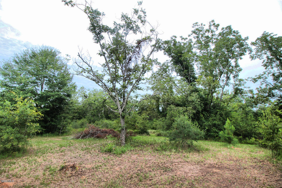 3-acres Easley Road Lucedale, MS 39452 - Photo 25 of 28 IMG_9934