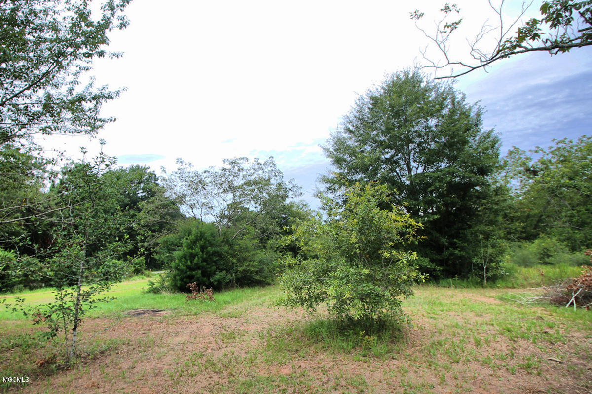 3-acres Easley Road Lucedale, MS 39452 - Photo 26 of 28 IMG_9935