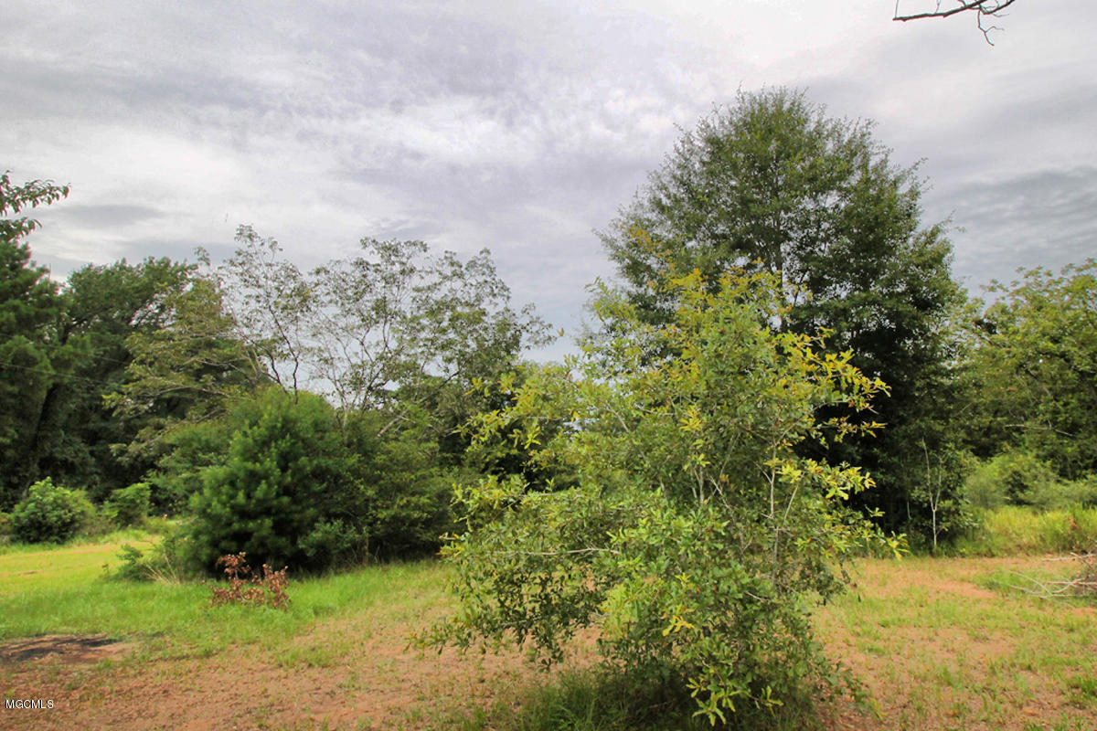3-acres Easley Road Lucedale, MS 39452 - Photo 27 of 28 IMG_9937