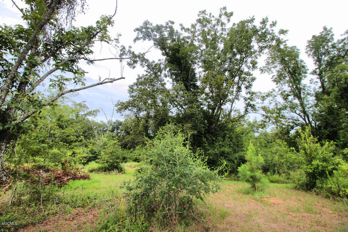 3-acres Easley Road Lucedale, MS 39452 - Photo 28 of 28 IMG_9938