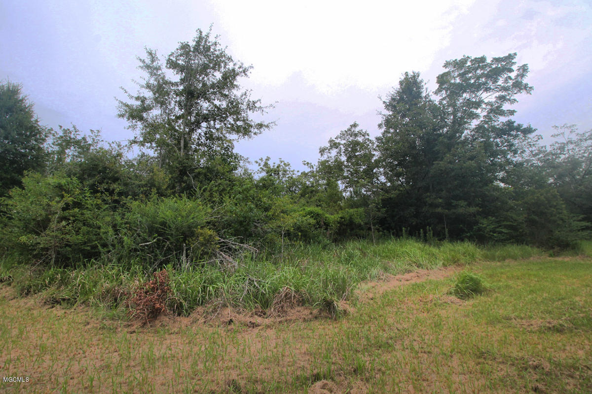 3-acres Easley Road Lucedale, MS 39452 - Photo 3 of 28 IMG_9910