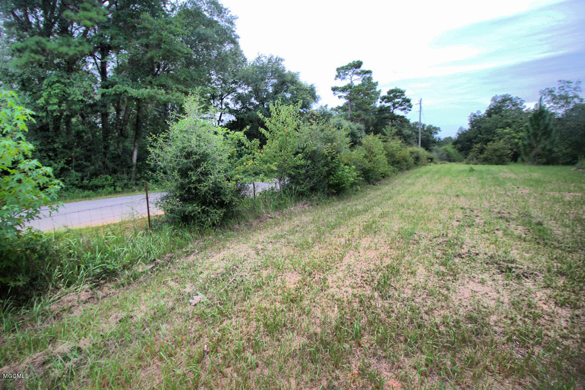 3-acres Easley Road Lucedale, MS 39452 - Photo 4 of 28 IMG_9911