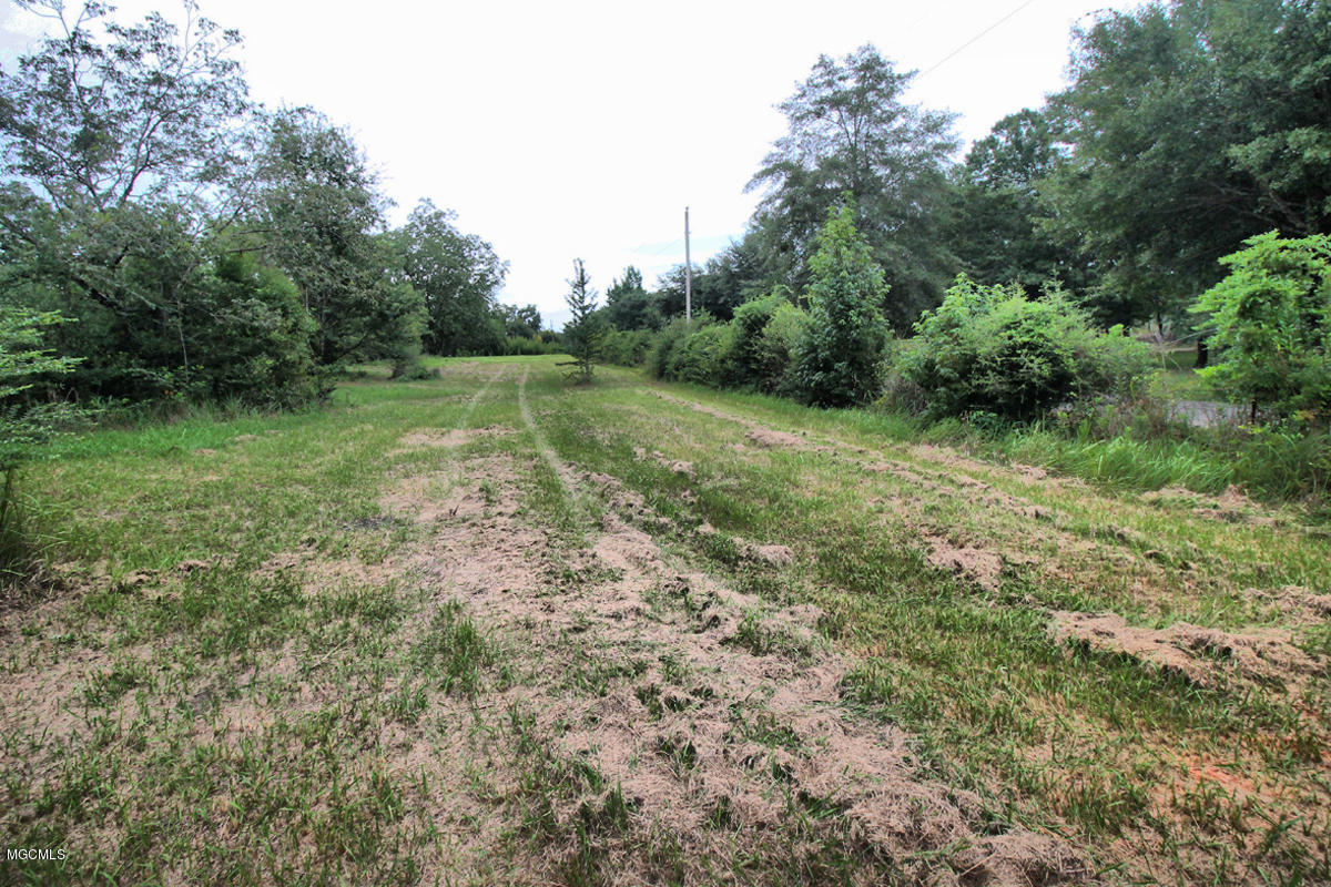 3-acres Easley Road Lucedale, MS 39452 - Photo 5 of 28 IMG_9912
