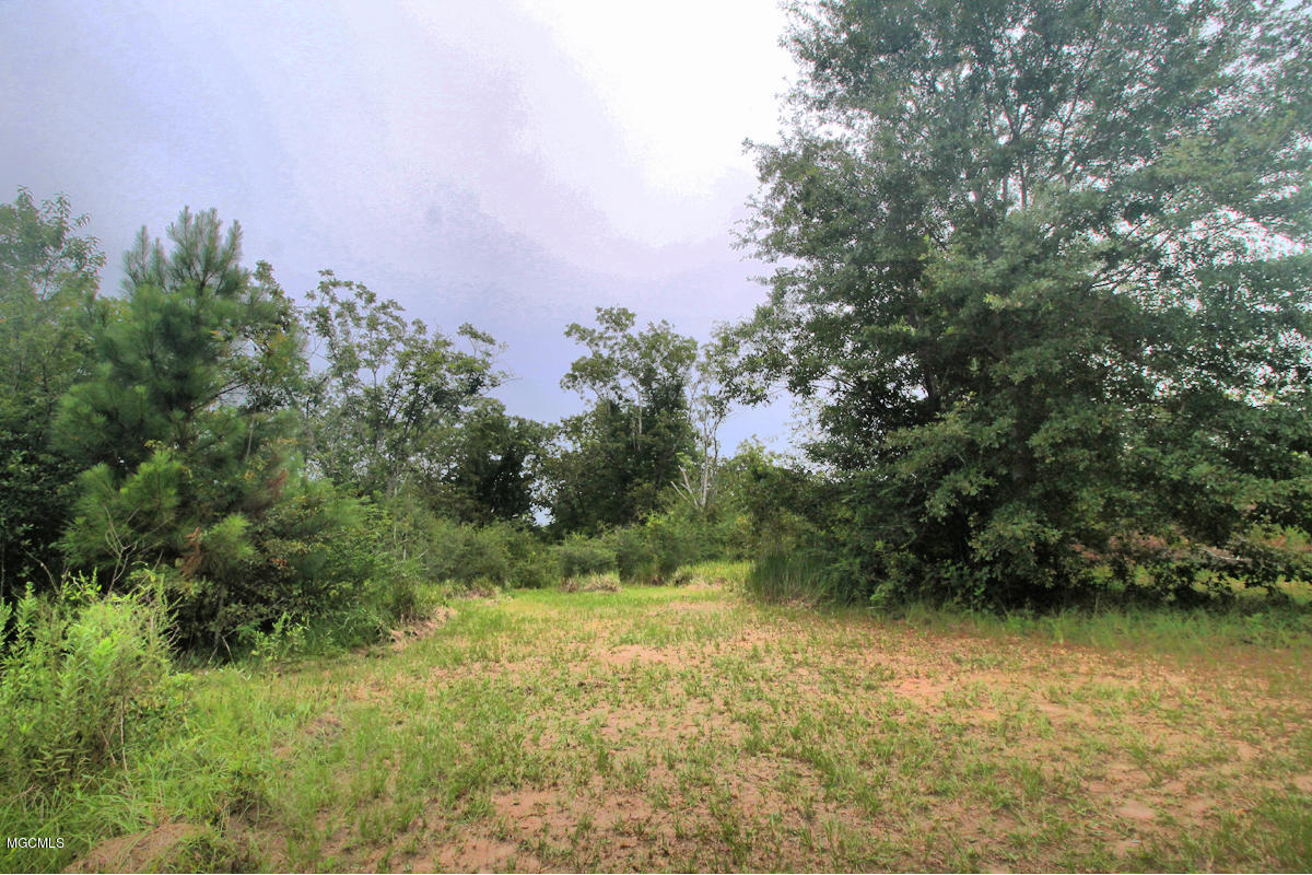 3-acres Easley Road Lucedale, MS 39452 - Photo 7 of 28 IMG_9915
