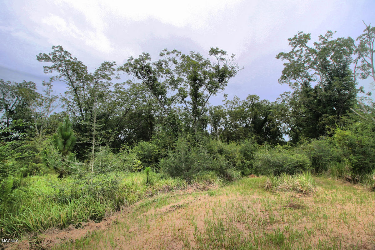 3-acres Easley Road Lucedale, MS 39452 - Photo 9 of 28 IMG_9917