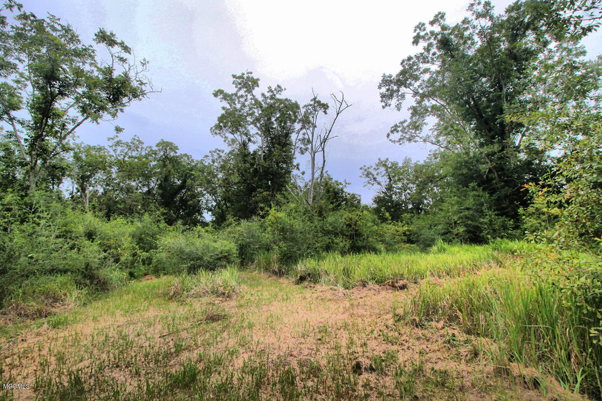 3-acres Easley Road Lucedale, MS 39452 - Photo 10 of 28 IMG_9918