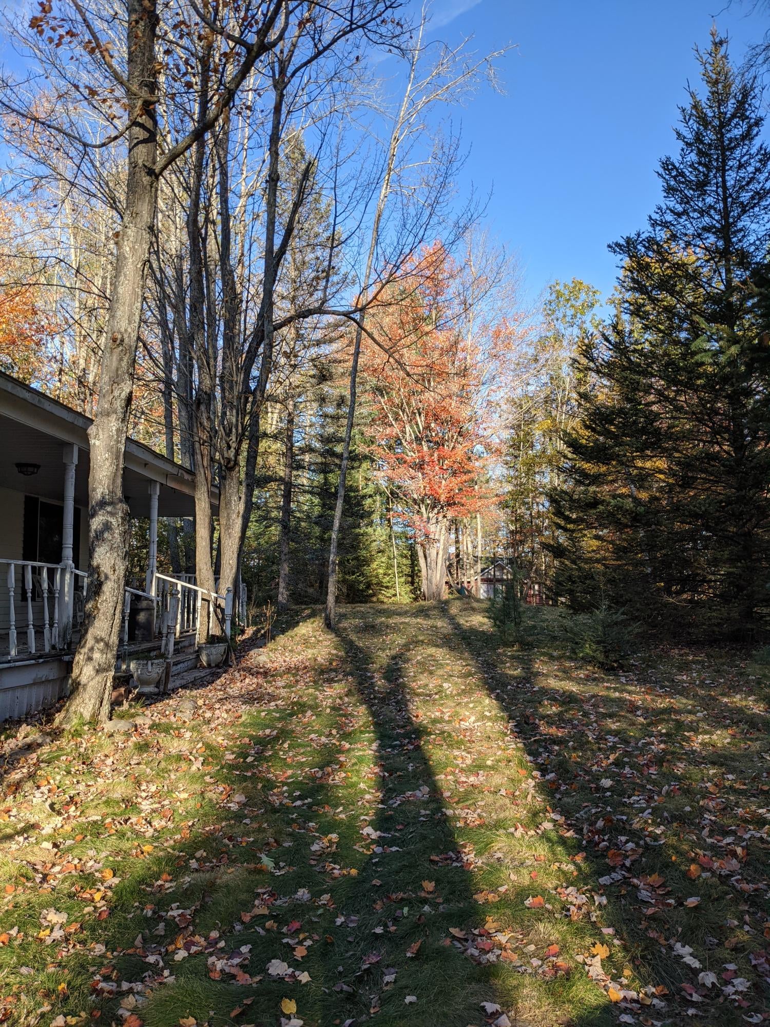 10920 River Road Atlanta, MI 49709 - Photo 21 of 59 Gallery Image 21