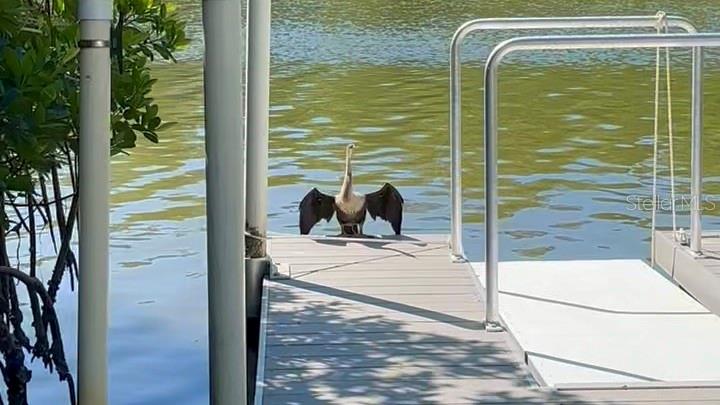 9397 Midnight Pass Road, Unit P3 Sarasota, FL 34242 - Photo 40 of 74