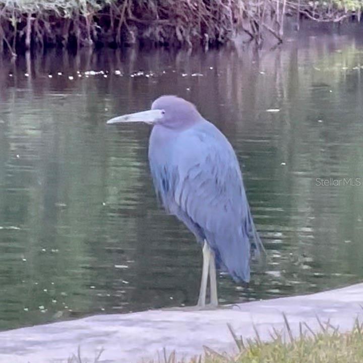 9397 Midnight Pass Road, Unit P3 Sarasota, FL 34242 - Photo 54 of 74