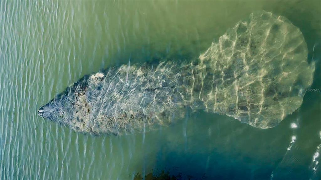 9397 Midnight Pass Road, Unit P3 Sarasota, FL 34242 - Photo 56 of 74