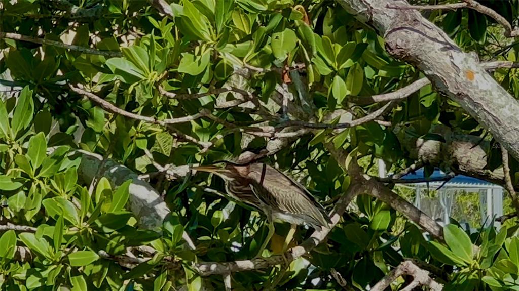 9397 Midnight Pass Road, Unit P3 Sarasota, FL 34242 - Photo 57 of 74