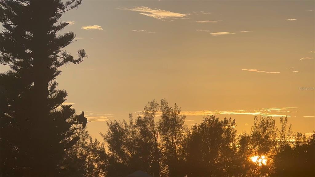 9397 Midnight Pass Road, Unit P3 Sarasota, FL 34242 - Photo 59 of 74