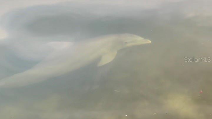 9397 Midnight Pass Road, Unit P3 Sarasota, FL 34242 - Photo 62 of 74