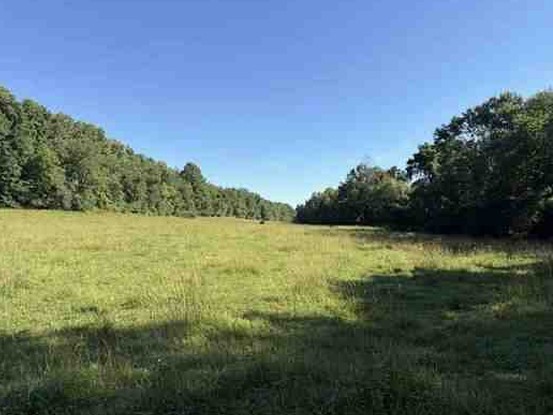 7117 Old Mill Creek Road Lyles, TN 37098 - Photo 16 of 21 Gallery Image 16