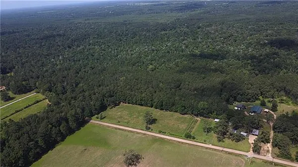 $535,000 | 71-acres Pierre Cemetary Road, Folsom, LA 70437