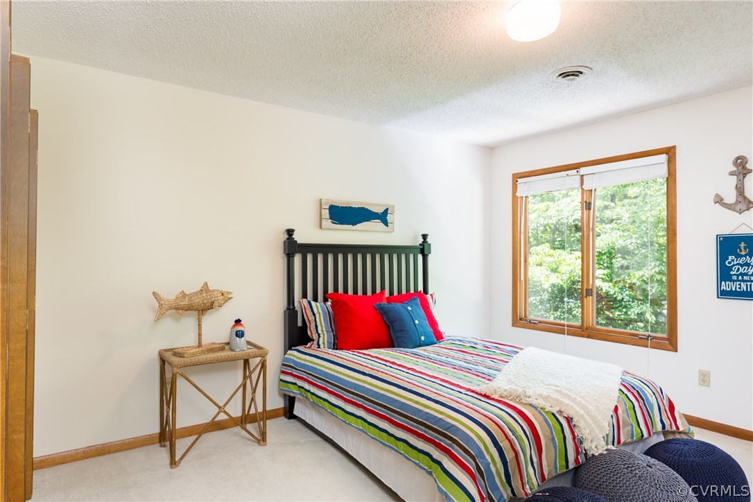 5719 Long Cove Road Midlothian, VA 23112 - Photo 27 of 50
