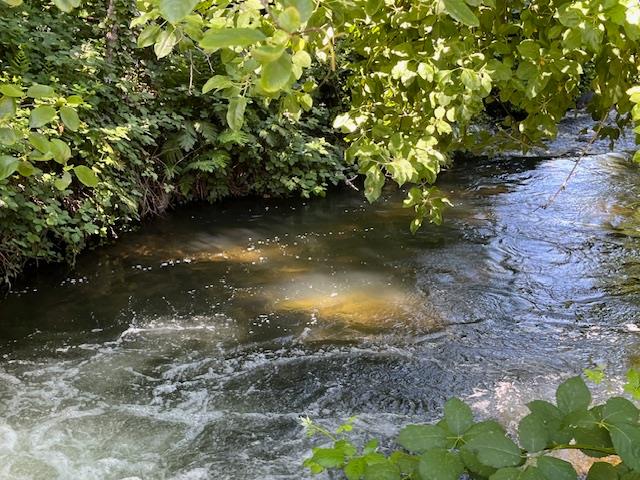 0 Crestview Drive Murphys, CA 95247 - Photo 14 of 53