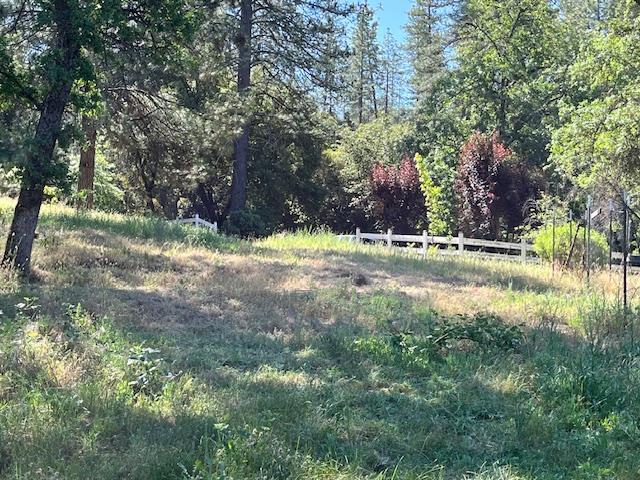 0 Crestview Drive Murphys, CA 95247 - Photo 21 of 53