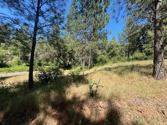 $325,000 | 0 Crestview Drive, Murphys, CA 95247