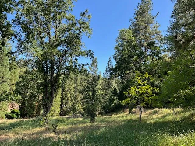 $325,000 | 0 Crestview Drive, Murphys, CA 95247