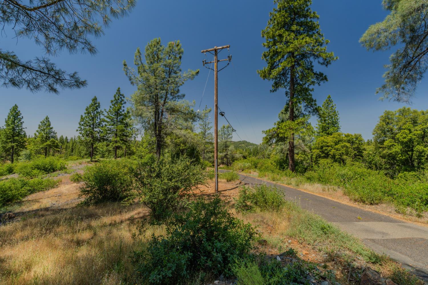 Undisclosed Address Murphys, CA 95247 - Photo 40 of 52 a view of a garden with a fountain