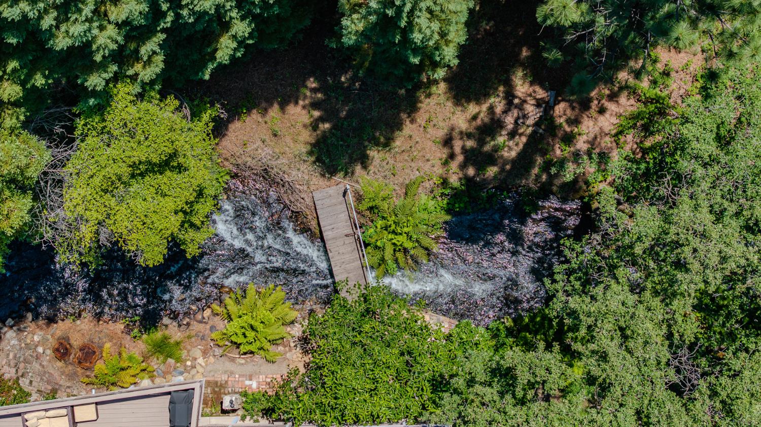 Undisclosed Address Murphys, CA 95247 - Photo 4 of 52 a view of a garden with plants