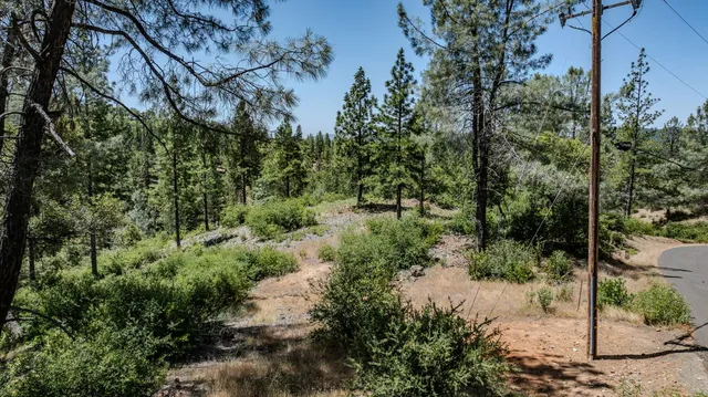 $325,000 | 0 Crestview Drive, Murphys, CA 95247