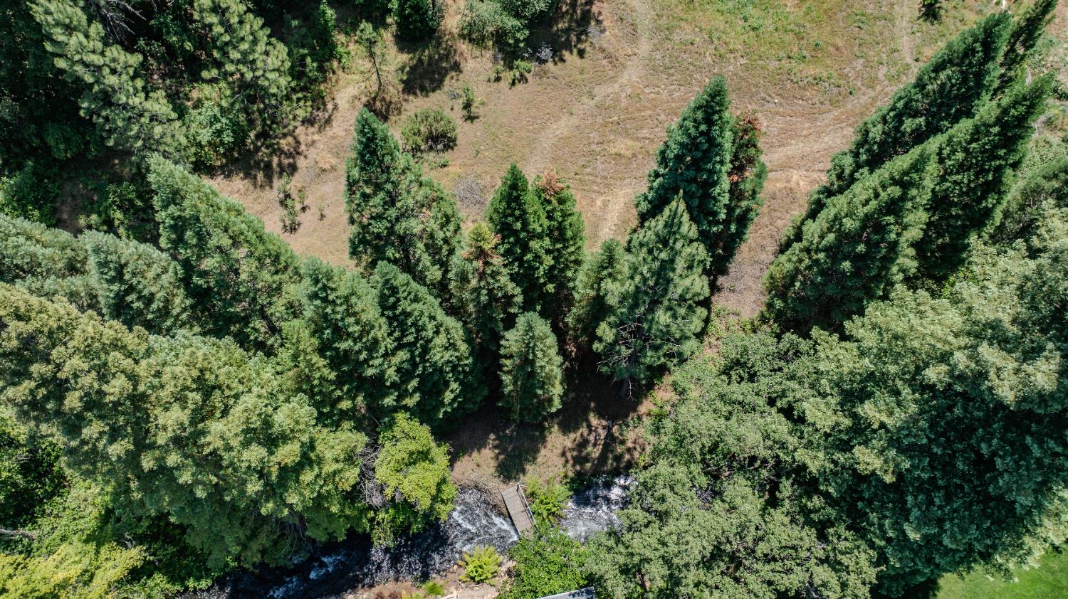 0 Crestview Drive Murphys, CA 95247 - Photo 47 of 53