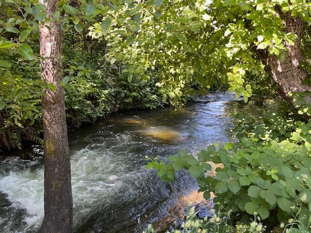 0 Crestview Drive Murphys, CA 95247 - Photo 10 of 53